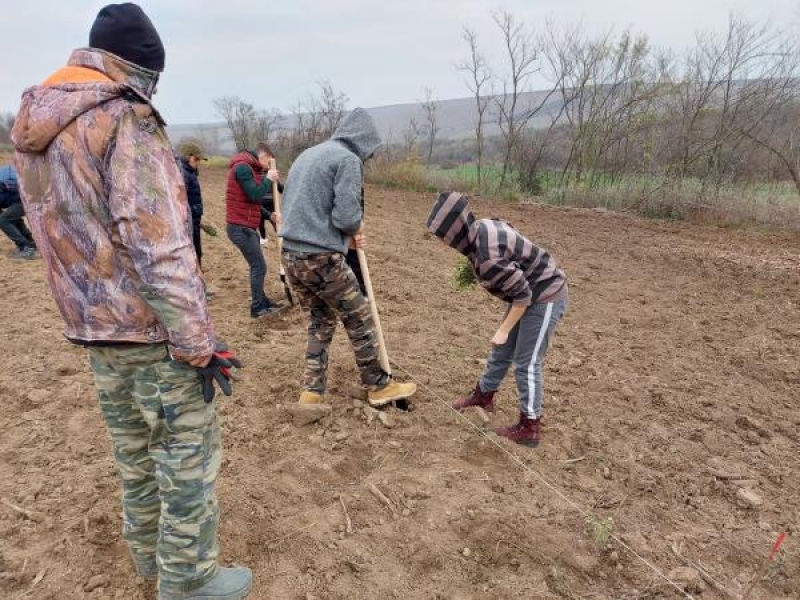 Ученици от СУ „Димитър Благоев“ – гр. Свищов помагаха на Държавното горско стопанство - гр. Свищов за засаждането на 1000 фиданки 