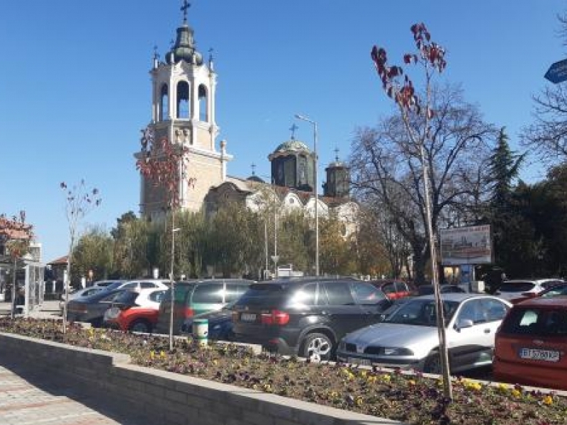 Пъстри зимни цветя засадиха служителите на ОП „Чистота – Свищов“ в парковете и алеите на крайдунавския град