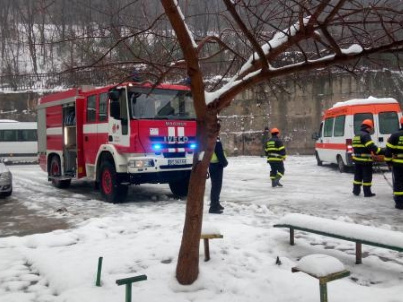 В Свищов отбелязаха Международния ден на доброволеца със съвместна демонстрация