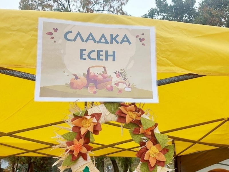„Вкусът на есента“ озари площад „Алеко“ – с вкус, цветове и доброта за децата на Свищов 