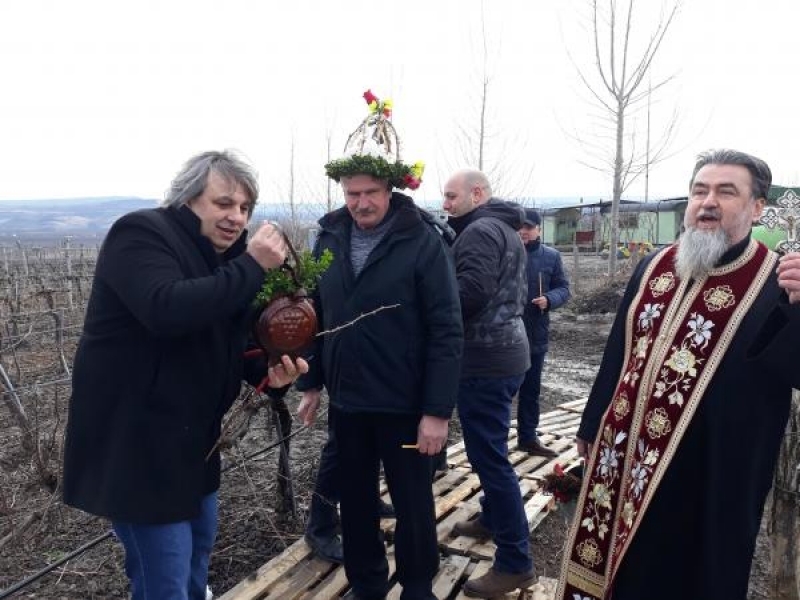 Деня на винарите и лозарите отпразнуваха по традиция в Свищов 