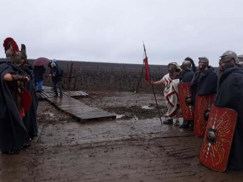 По традиция в Свищов отпразнуваха деня на винарите и лозарите - Трифон Зарезан