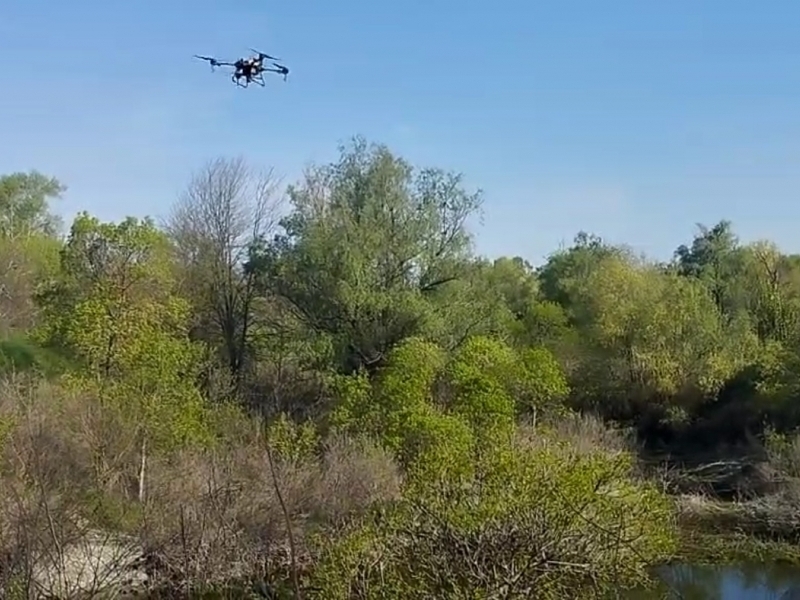 С цел контрол на популацията от комари община Свищов стартира ларвицидна обработка на терени със застояли води