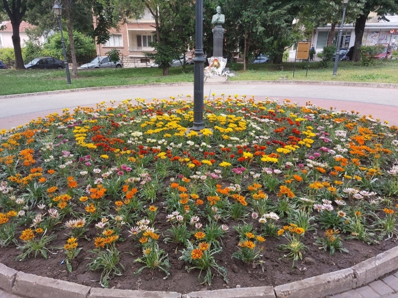 Зацветяването на градските паркове и кътовете за отдих започна в Свищов 