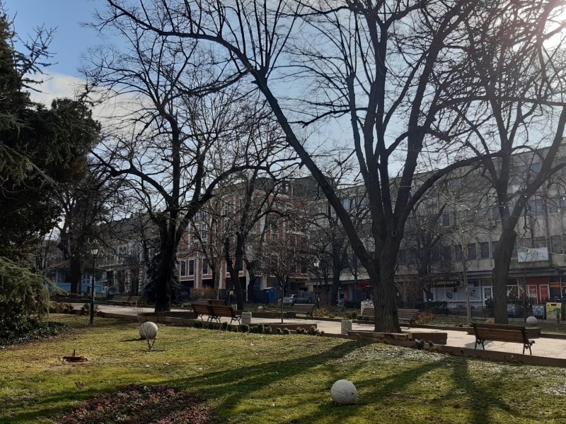 В Свищов продължава работата по премахване на потенциално опасни и изгнили клони и дървета 