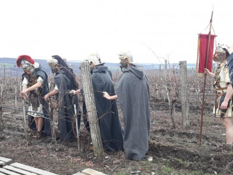 Водосвет за здраве и плодородие бе отслужен край Свищов за Трифон Зарезан