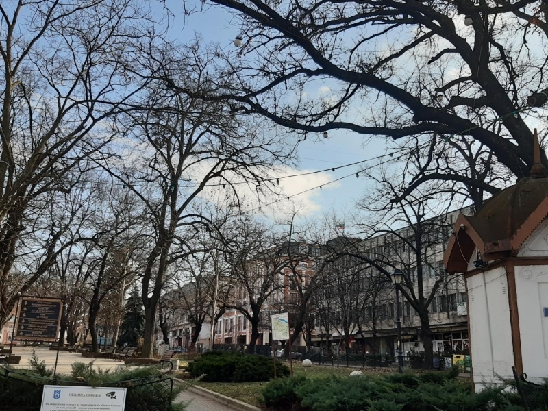 В Свищов продължава работата по премахване на потенциално опасни и изгнили клони и дървета 