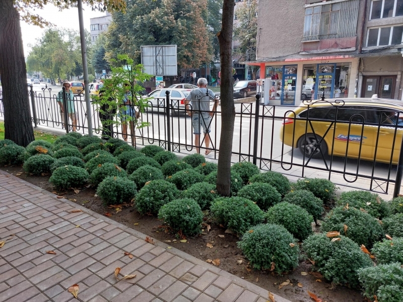 В Свищов беше официално открит обновеният парк на пл. „Свобода“  