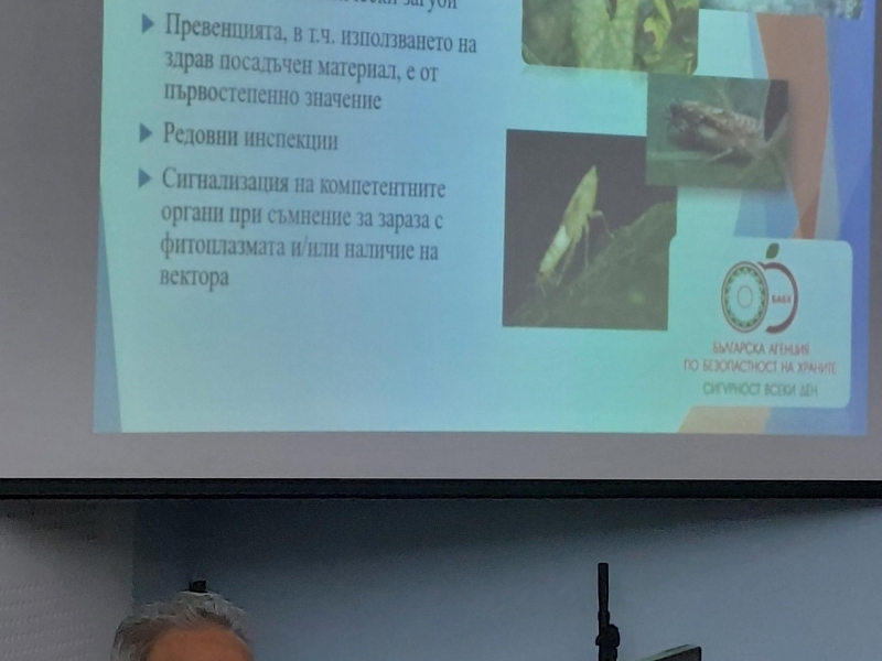 В Свищов представители на Областна дирекция по безопасност на храните проведоха информационна среща във връзка с опасен карантинен вредител по лозата