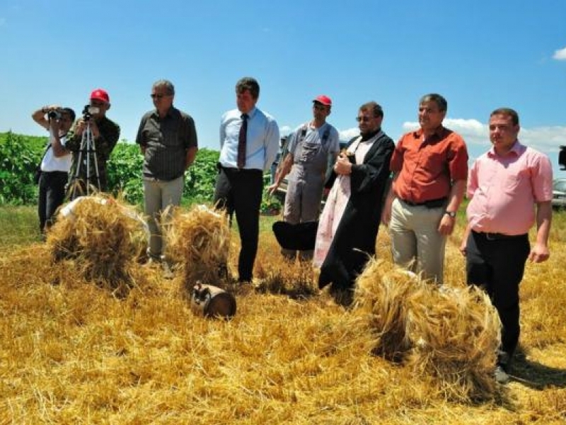 В Царевец официално откриха жътвената кампания 