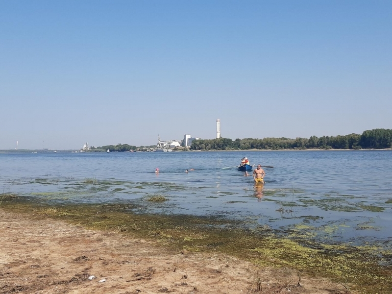 64-то масово преплуване на река Дунав край Свищов тази година бе и с международно участие 
