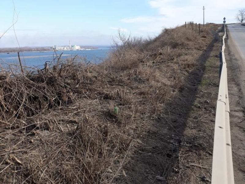 В община Свищов започна почистване на знакови места и територии 