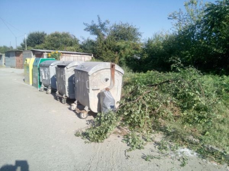 Община Свищов се включи за пореден път в най-мащабната доброволческа акция в България – „Да изчистим България заедно“