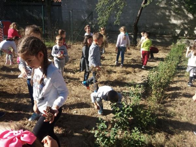 В детска градина „Чиполино“ приключиха дейностите по нациоална програма „ПО-ЗДРАВИ ДЕЦА“